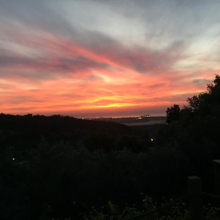 Above The Sea Βίλα Ein Hod Εξωτερικό φωτογραφία