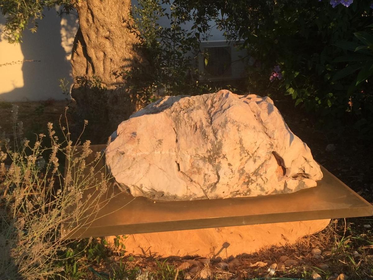 Above The Sea Βίλα Ein Hod Εξωτερικό φωτογραφία