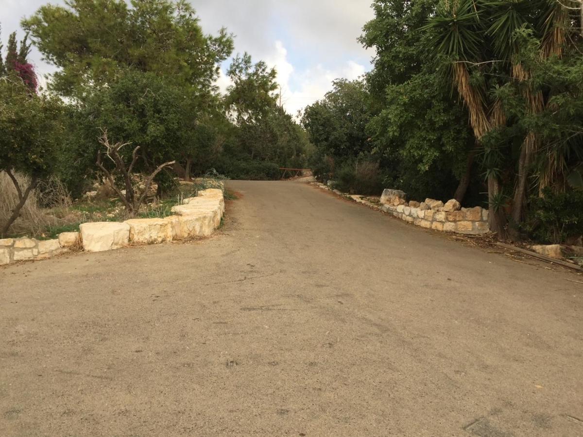 Above The Sea Βίλα Ein Hod Εξωτερικό φωτογραφία
