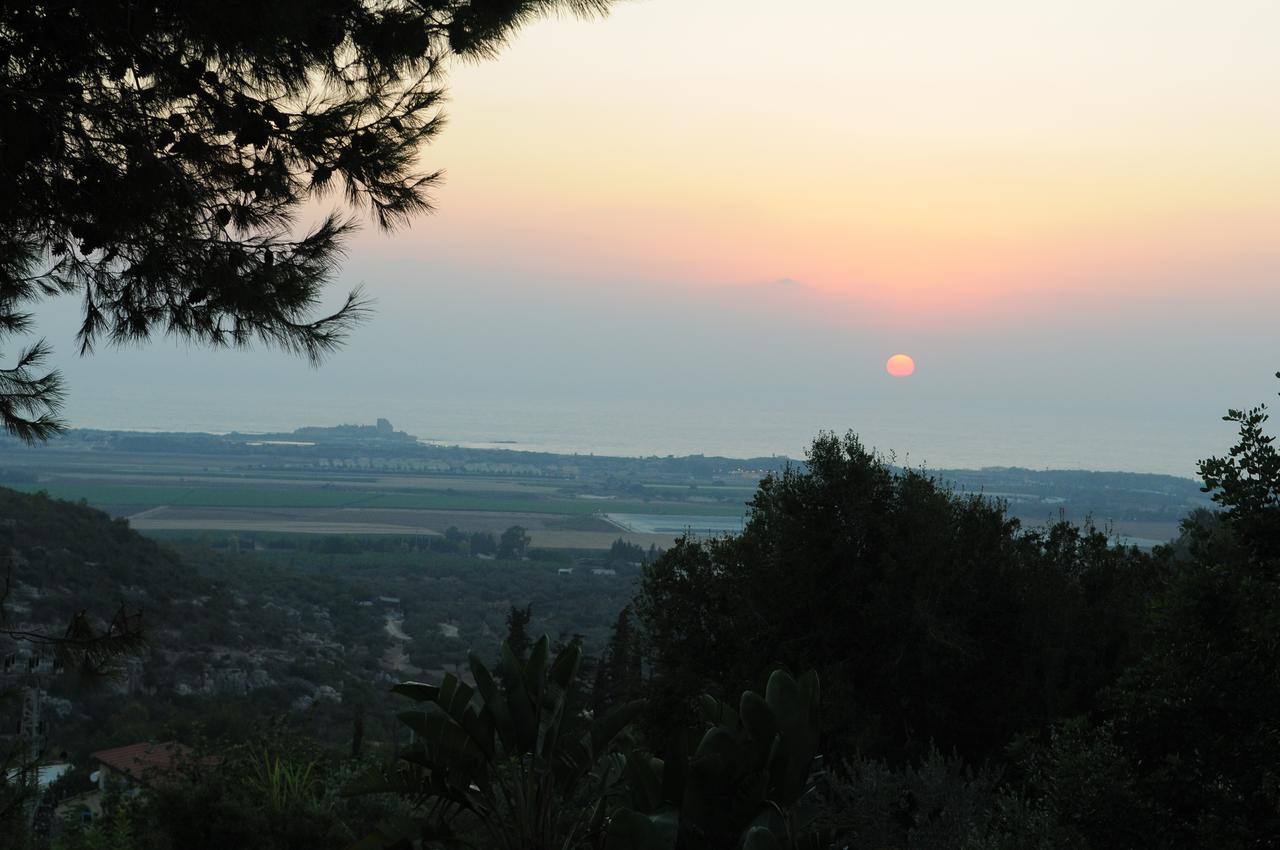 Above The Sea Βίλα Ein Hod Εξωτερικό φωτογραφία