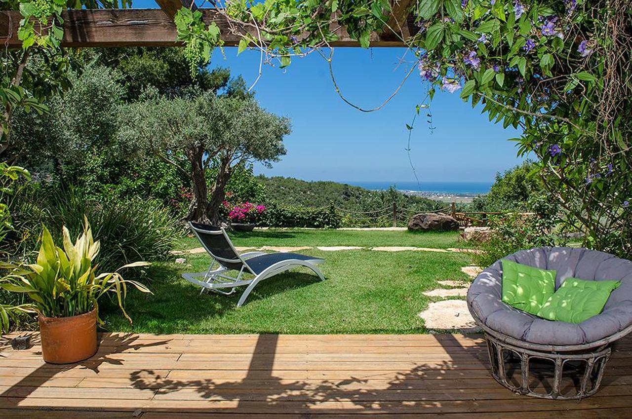 Above The Sea Βίλα Ein Hod Εξωτερικό φωτογραφία