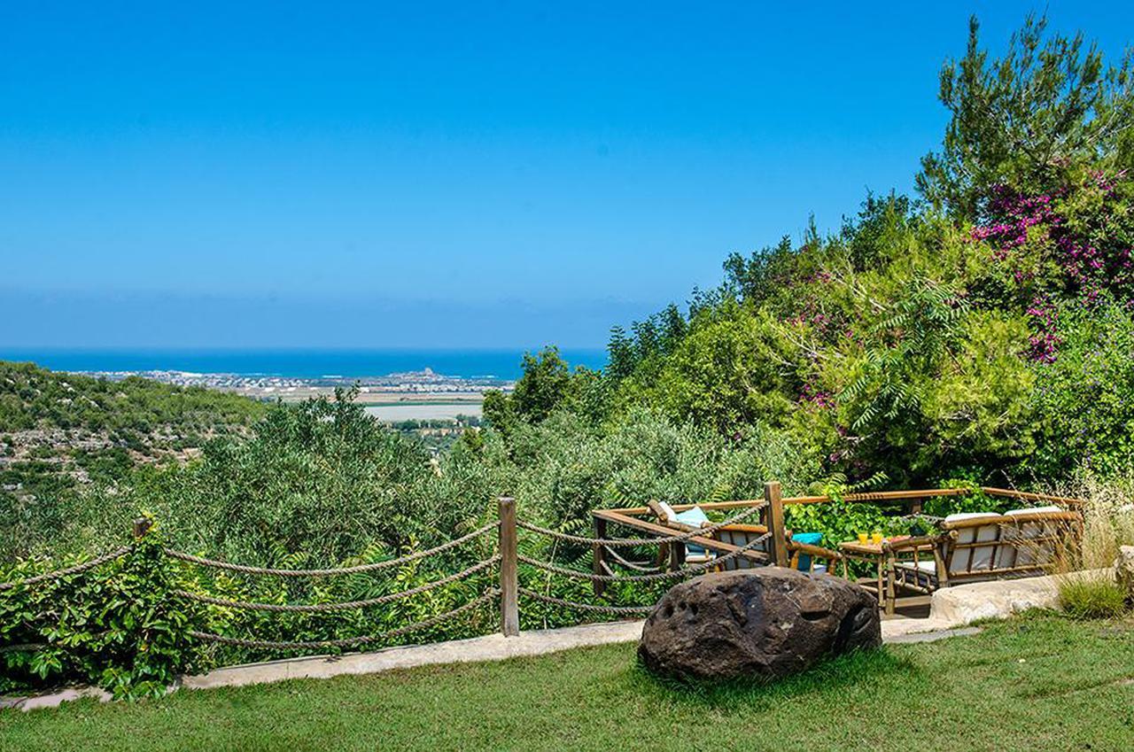 Above The Sea Βίλα Ein Hod Εξωτερικό φωτογραφία