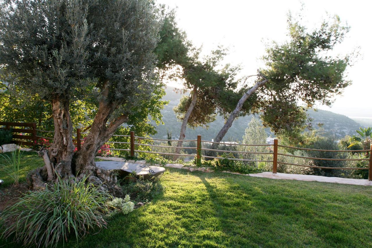 Above The Sea Βίλα Ein Hod Εξωτερικό φωτογραφία