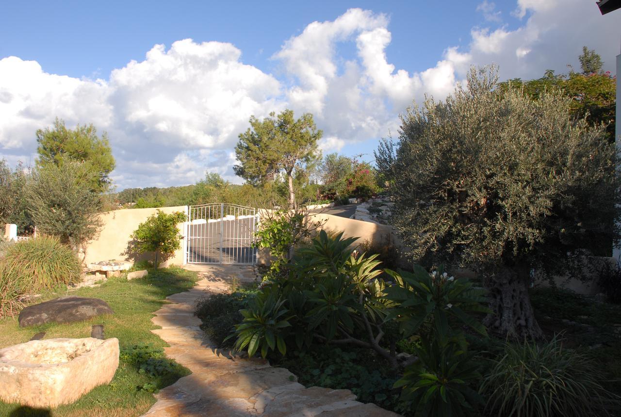 Above The Sea Βίλα Ein Hod Εξωτερικό φωτογραφία