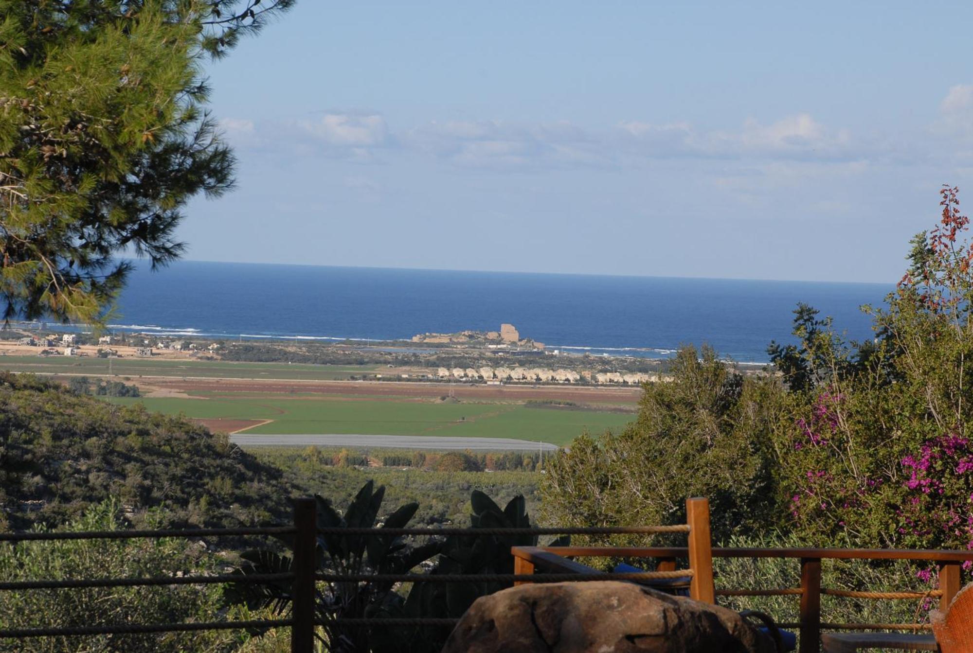 Above The Sea Βίλα Ein Hod Εξωτερικό φωτογραφία