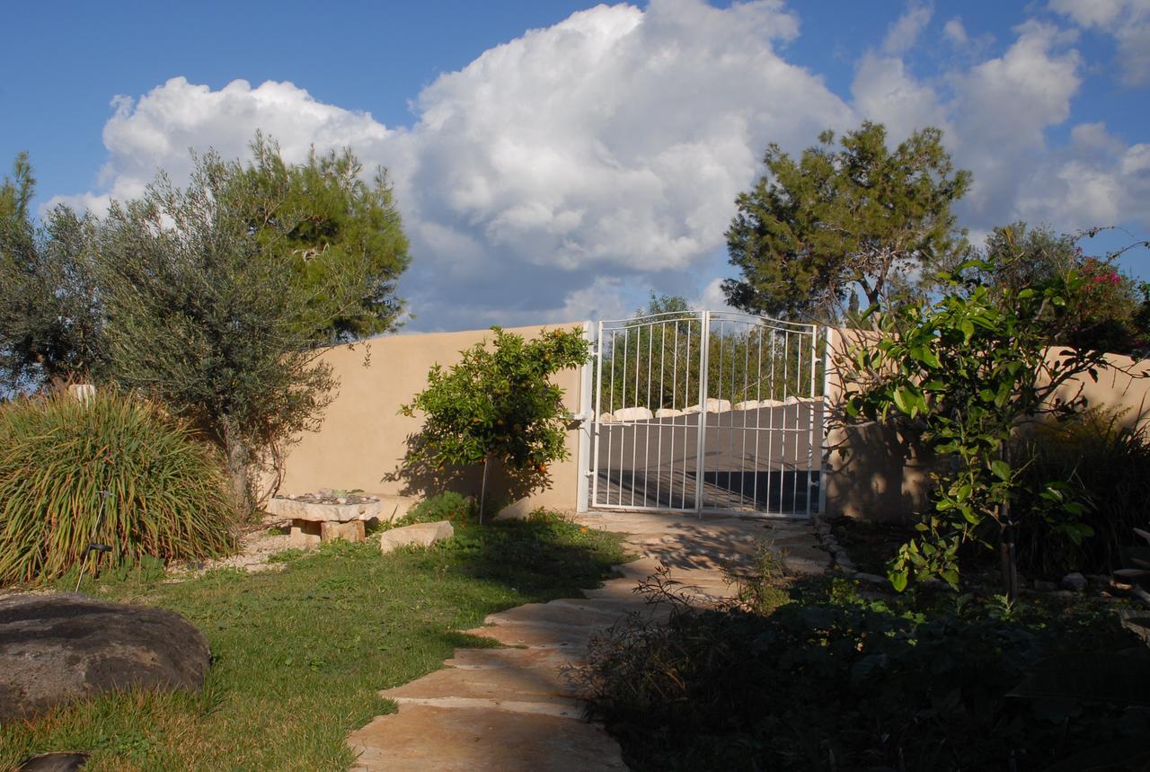 Above The Sea Βίλα Ein Hod Εξωτερικό φωτογραφία