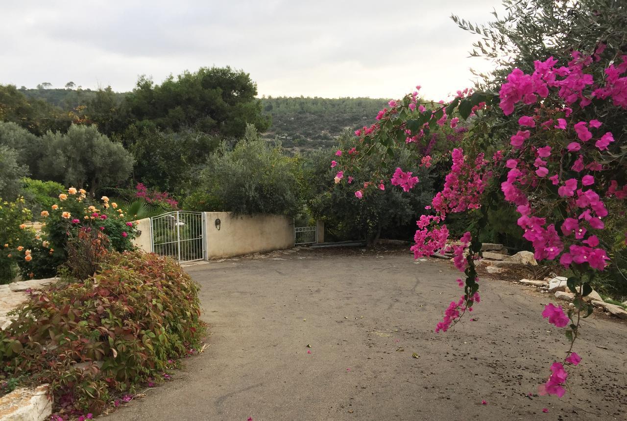 Above The Sea Βίλα Ein Hod Εξωτερικό φωτογραφία